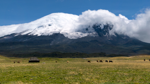 Vista del volcán Antisana, el 27 de enero de 2013.