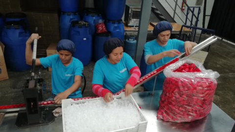 Ambiente en una fábrica de plásticos, en Quito, en marzo de 2019.