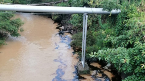 Imagen del río Duvino que recibió parte del vertido de petróleo este 28 de agosto de 2021. 