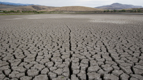 El lago Little Washoe, Nevada-Estados Unidos, se está secando. A medida que la sequía continúa en la costa oeste, los niveles de los lagos bajan y ya no son capaces de sostener a los peces.