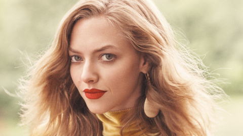 Amanda Seyfried saltó a la fama en la comedia de humor negro: 'Chicas pesadas', junto a Lindsay Lohan.