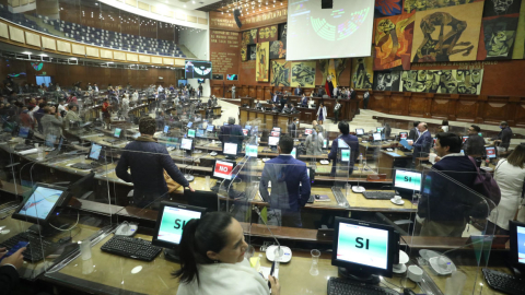 El Pleno de la Asamblea, durante la votación de las amnistías, la madrugada de este 10 de marzo de 2022.