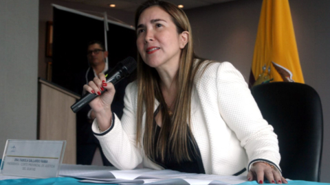 La presidenta de la Corte de Justicia de Guayas, Fabiola Gallardo, en una rueda de prensa en Guayaquil, el 21 de abril de 2022.