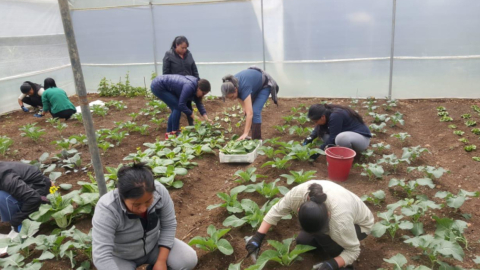 Mujeres víctimas de violencia trabajan en una plantación de la Casa Paula, el 20 de abril de 2022.