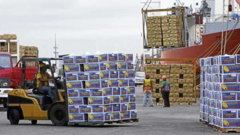 Imagen referencial de cajas de banano de las exportadoras en el Puerto de Guayaquil, de mayo de 2012.