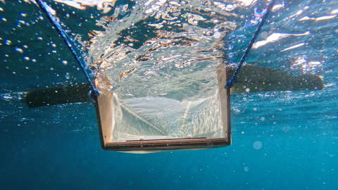 Recolección de microplásticos para medir  su impacto en uno de los mares de Barcelona, junio de 2022. 