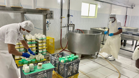 Trabajadores de una empresa de leche en Cayambe, el 20 de septiembre de 2022.