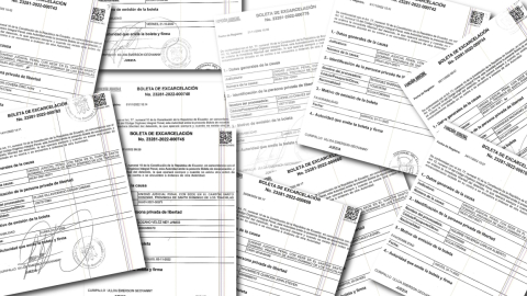 Boletas de libertad firmadas por el juez Emerson Curipallo, entre septiembre y noviembre de 2022.