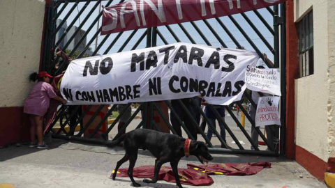 Un grupo de estudiantes de la Federación Universitaria de San Marcos cuelga pancartas hoy, en una de las entradas de la Universidad Nacional Mayor de San Marcos. 19 de enero de 2023