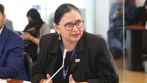 María Sara Jijón, directora general del Servicio Nacional de Contratación Pública (Sercop), el 20 de julio de 2022, en la Asamblea.