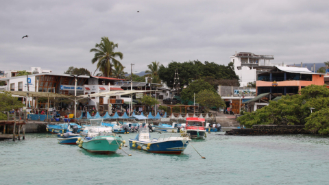 Vista del puerto pesquero de Puerto Ayora, el 15 de noviembre de 2021 en la Isla Santa Cruz, Galápagos.