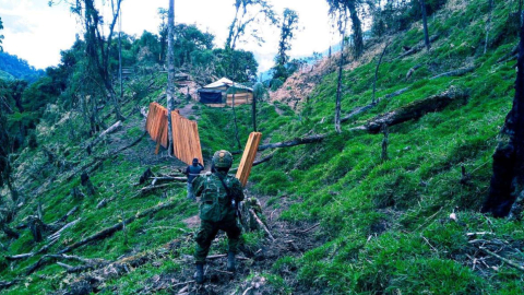 Decomiso de madera en la Reserva Ecológica Ilinizas, en Cotopaxi, en agosto de 2022. 