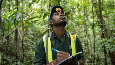 Un certificador de la ONU durante un recorrido en un bosque. 