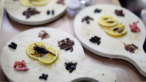 Un plato hecho con insectos, entre ellos gusanos y grillos, en un restaurante de México, el 1 de enero de 2023. 