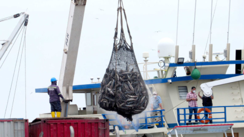 Operaciones en la Terminal de Pesca y Cabotaje de Manta, Manabí.