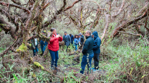 Autoridades de Ambiente en la nueva reserva Ponce Paluguillo, el 15 de mayo de 2023.