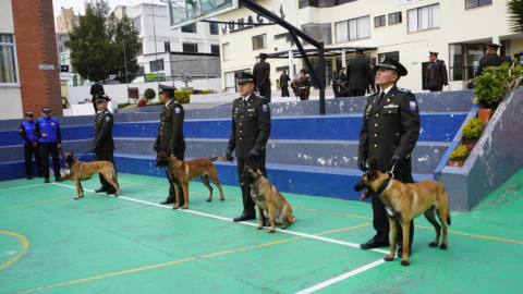 La Embajada de Francia donó cuatro perros antidrogas a la Policía de Ecuador, el 30 de mayo de 2023.