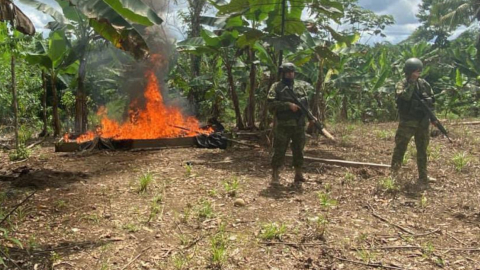 Dos militares en la destrucción de un semillero de hoja de coca en Sucumbíos, el 11 de junio de 2023. 