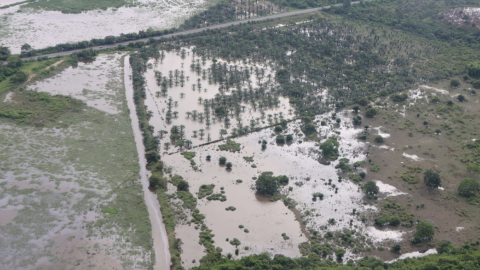 Cultivos en Esmeraldas con daños por las inundaciones de los primeros días de junio de 2023.