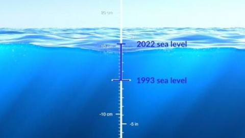 Ilustración de la NASA sobre el aumento del nivel del mar, desde 1993. 