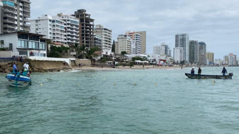 Personal del Ministerio del Ambiente capturó a un cocodrilo en Salinas, el 2 de julio de 2023.