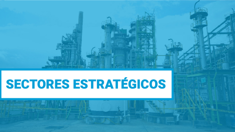 plan gobierno presidenciales sectores estrategicos extraordinarias 2023