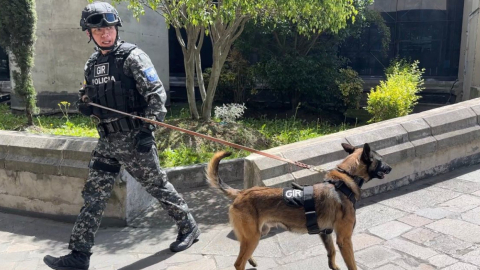 Personal antiexplosivos de la Policía en Quito, junto a un can entrenado, el 26 de junio de 2023. 