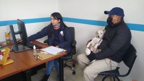 Imagen referencial de un ciudadano y su mascota en Quito.