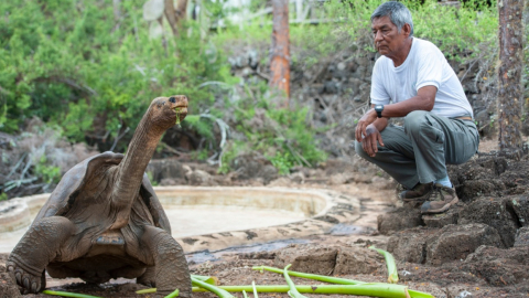 El Solitario George junto a su eterno cuidador, Fausto Llerena, en el parque Nacional Galápagos. 