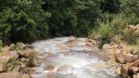 Uno de los riachuelos del nuevo refugio de vida silvestre en Pimampiro, Imbabura. 