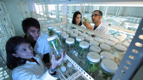 Científicos en un laboratorio de Yara analizando muestras de suelo. 