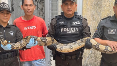 Personal policial junto a una de las boas rescatadas en Guayaquil, el 7 de agosto de 2023. 