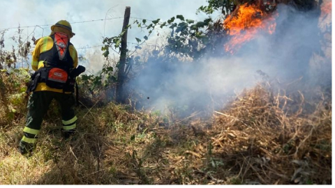 Conato de incendio registrado en Quito, el 26 de agosto de 2023.