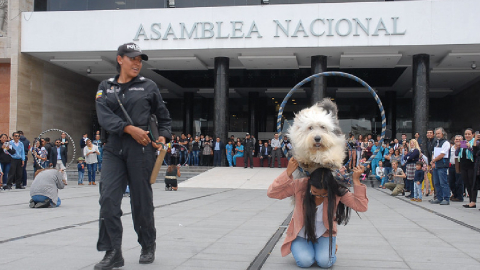 Un evento sobre tenencia de animales en la Asamblea en 2021