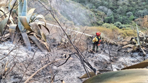 Un bombero de Quito esparce agua en un incendio forestal, el 1 de septiembre e 2023.