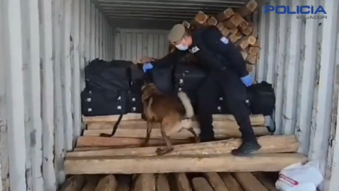 La Policía incautó 300 kilos de cocaína en uno de los puertos de Guayaquil. 