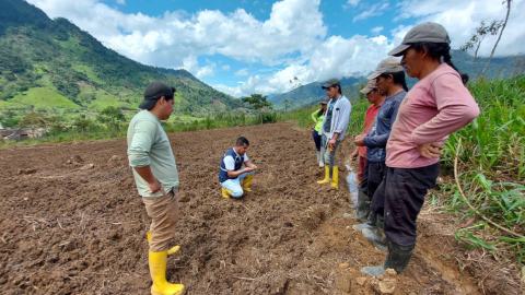 Un proyecto de agricultura en la Amazonía de Ecuador, en septiembre de 2023. 