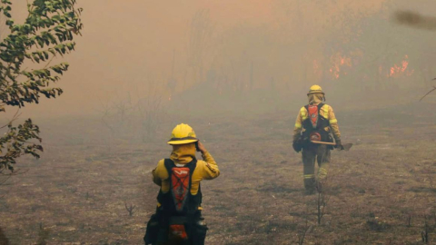 Bomberos trabajan en el incendio forestal en la quebrada de Guambi, entre Puembo y Tababela, en Quito, el 6 de septiembre de 2023.