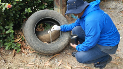 Personal del Ministerio de Salud trabaja para evitar la proliferación de mosquitos que causan el dengue.