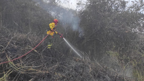 Los bomberos trabajaron cinco horas para controlar el incendio.