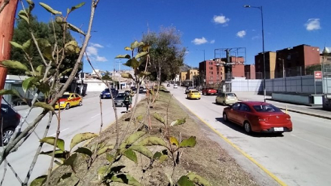 Imagen referencial clima Quito