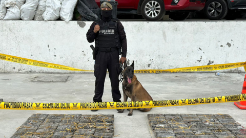 Uno de los últimos decomisos de droga en el puerto de Guayaquil, este 5 de octubre de 2023. 