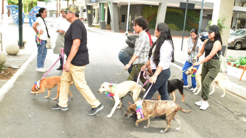 Imagen referencial de varias personas en Guayaquil pasando con sus mascotas en la calle Panamá, centro de la ciudad.