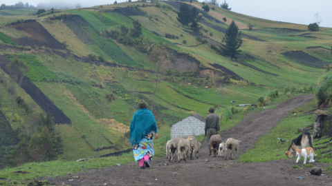 Los cuidadores del páramo son en mayoría de las comunidades indígenas de Tungurahua.