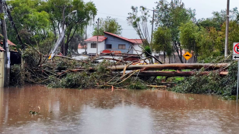 Un sector de Cuenca aislado tras la caída de un árbol, debido a las fuertes lluvias, el 29 de diciembre de 2023.