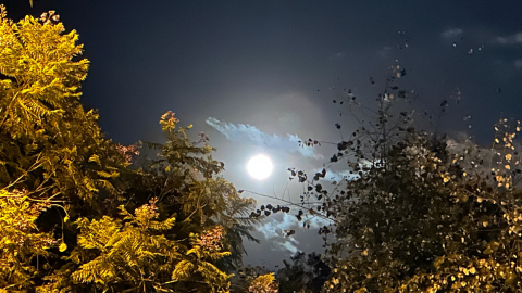 La primera Luna llena del 2024 vista desde los Valles de Quito el 25 de enero.