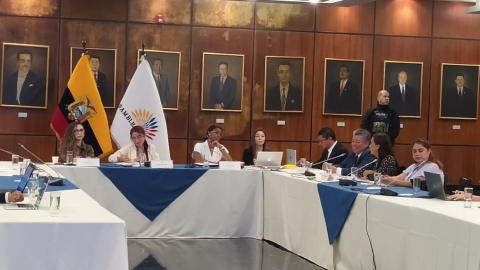 La fiscal Diana Salazar en una sesión de la Comisión que tramita la Ley de Extinción de Dominio en la Asamblea, Quito, el 26 de enero de 2024.