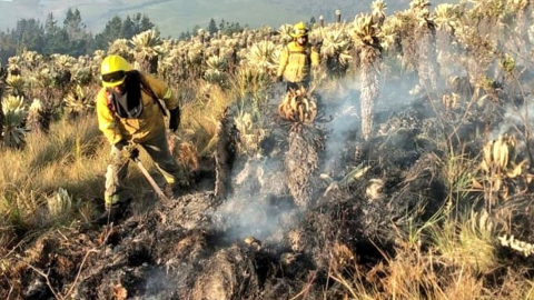 Brigadista realiza tareas de sofocación tras el incendio en El Ángel.