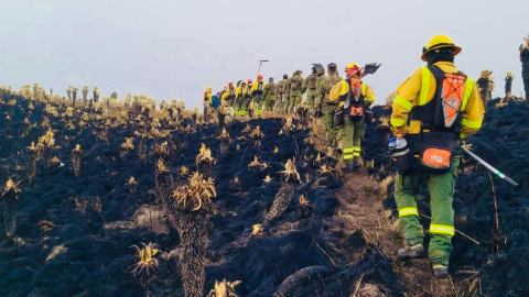 Bomberos buscan focos de calor en la reserva ecológica El Ángel, en Carchi, el 29 de enero de 2024.