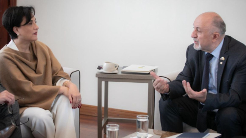 La canciller de Ecuador, Gabriela Sommerfeld, y el embajador de Rusia, Vladimir Sprinchan, en una reunión el 5 de febrero de 2024. 